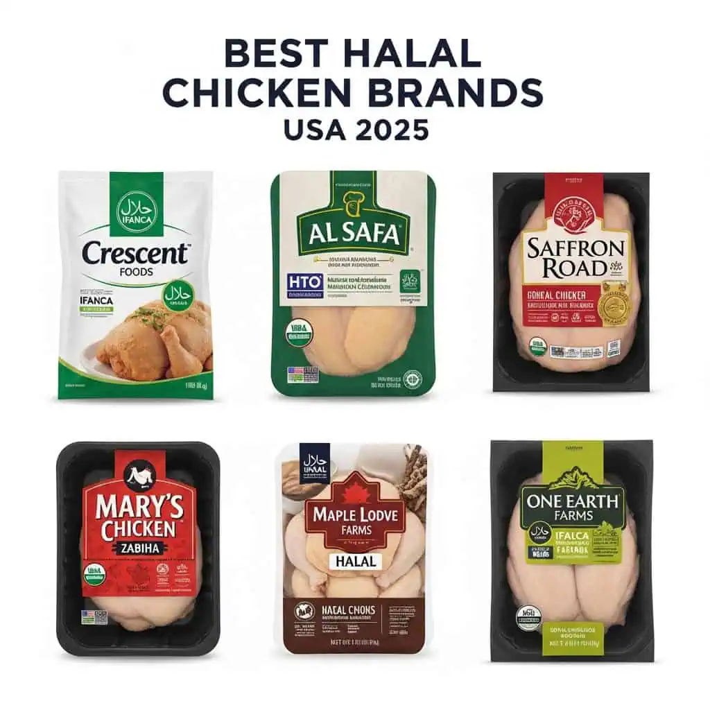 Best Halal Chicken Brands USA: Complete Certification Guide 2025